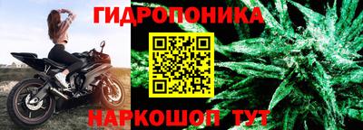 твердый Бийск