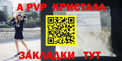 твердый Бийск