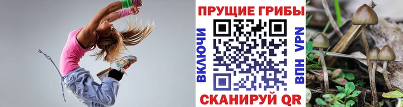 Псилоцибиновые грибы мухоморы Бор