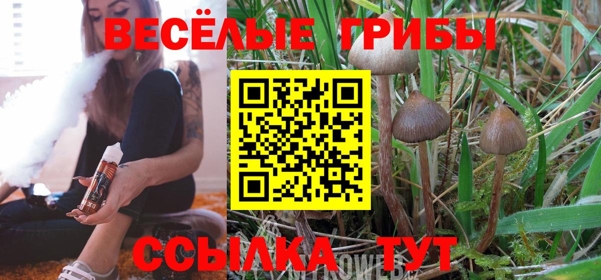Псилоцибиновые грибы MAGIC MUSHROOMS Бор