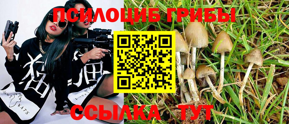 Галлюциногенные грибы GOLDEN TEACHER Бор